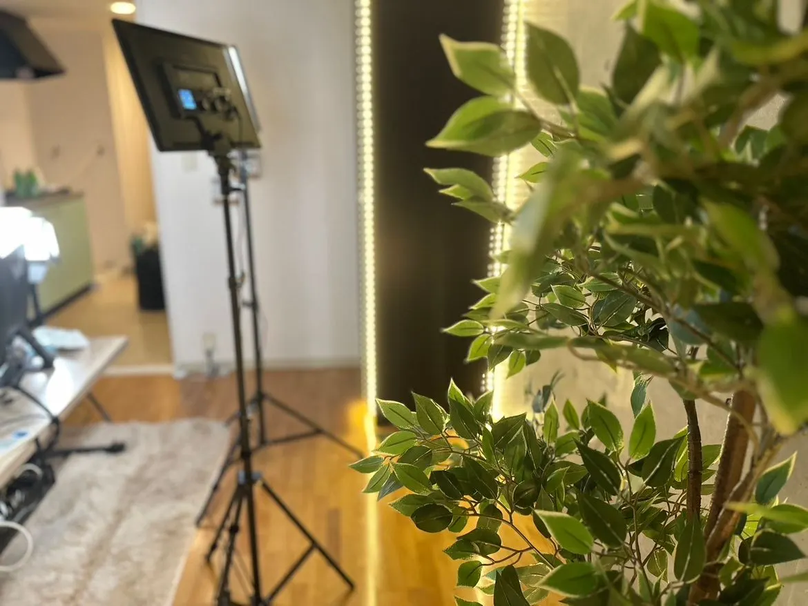 チャットルームの照明と観葉植物